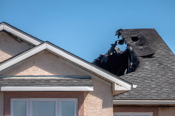 Top rated local Board Up Services specialists in Waite Park, MN